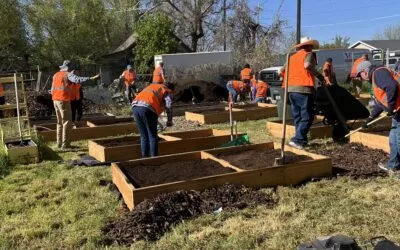 Celebrate Earth Day by Getting Involved with Local Community Gardens