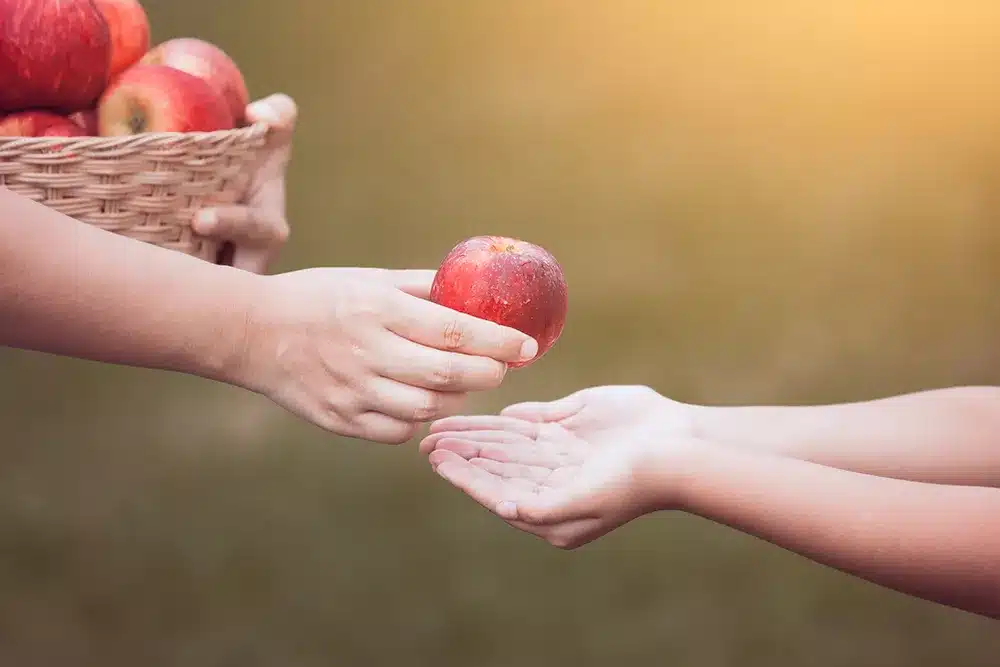 Federal Grant Helps Community Action Services & Food Bank to Stop Hunger in Utah